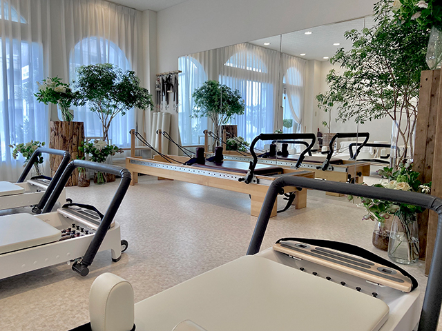 マシンピラティストリオレッスン